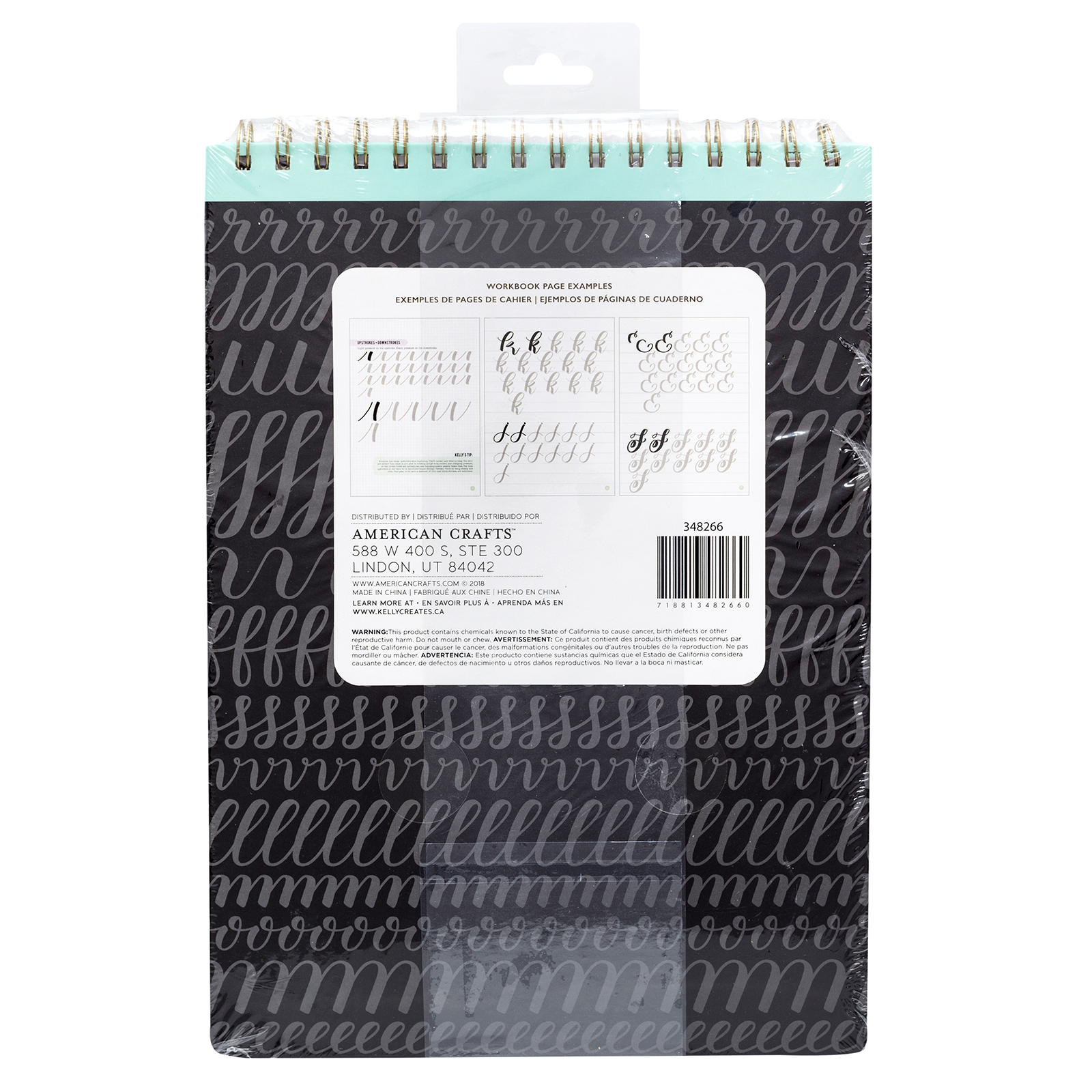 DDL-KC-348266_AC_KC_Paper_Workbook_LargeBrush_Bouncy_Back