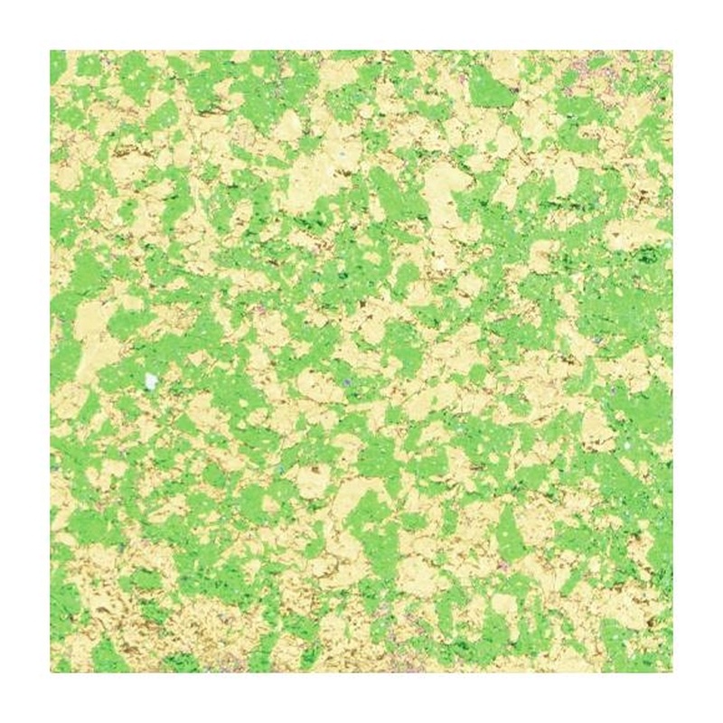 DDL-NT22-621282_2
